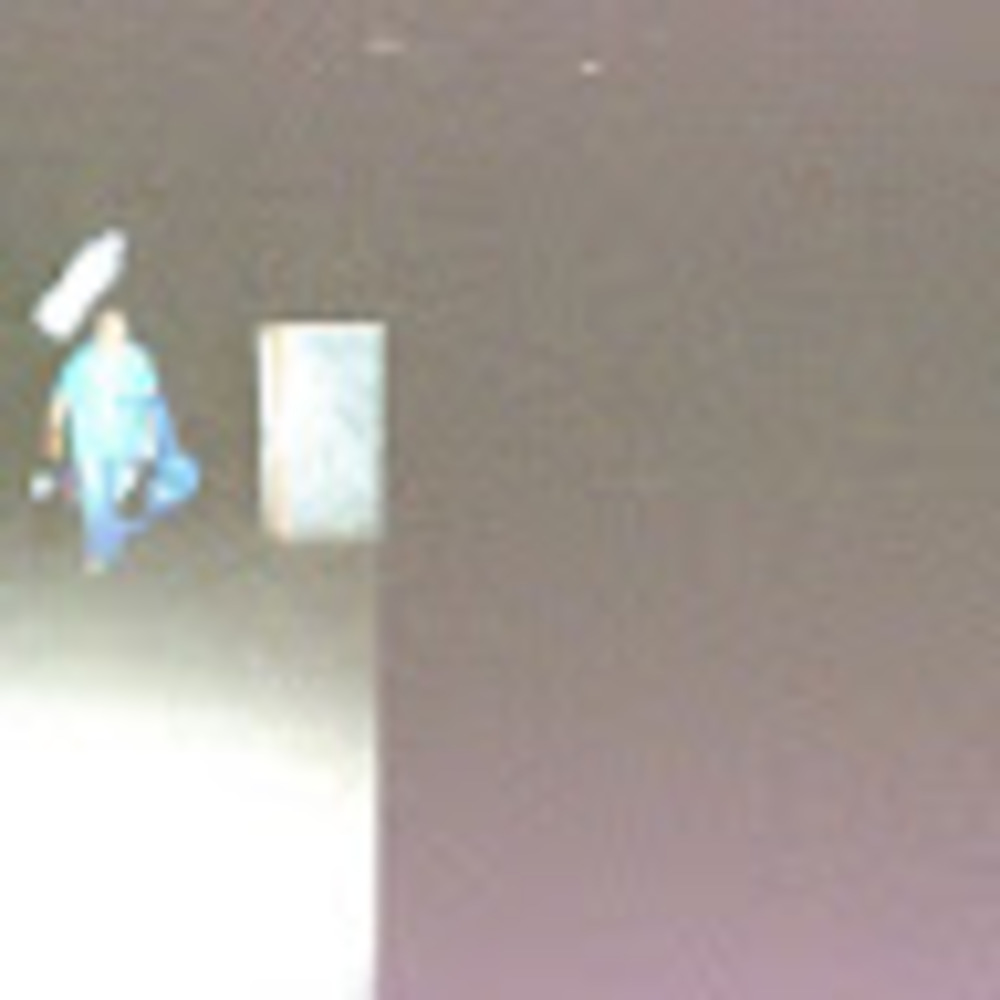 Meet your Posher, Luc